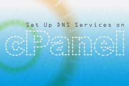 تنظیم سرویس DNS در سیپنل